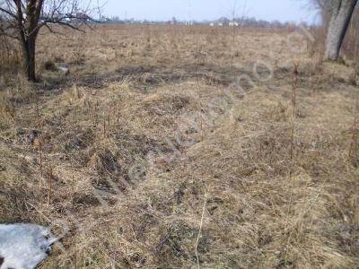 Działka na sprzedaż Murowaniec