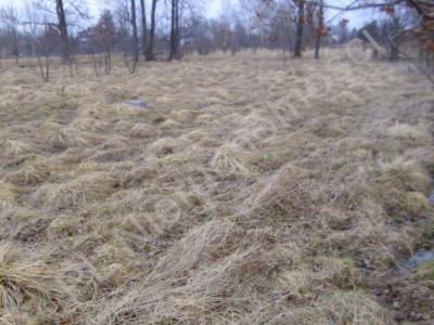 Działka na sprzedaż Jaktorów