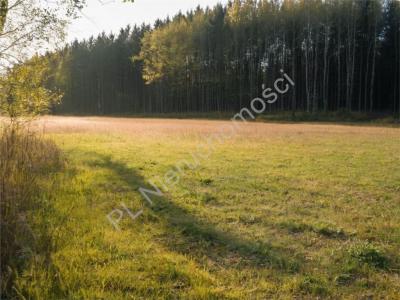 Działka na sprzedaż Zalesie