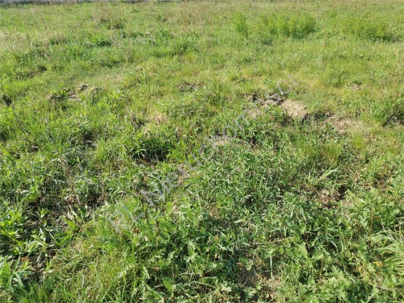 Działka na sprzedaż Odrano-Wola