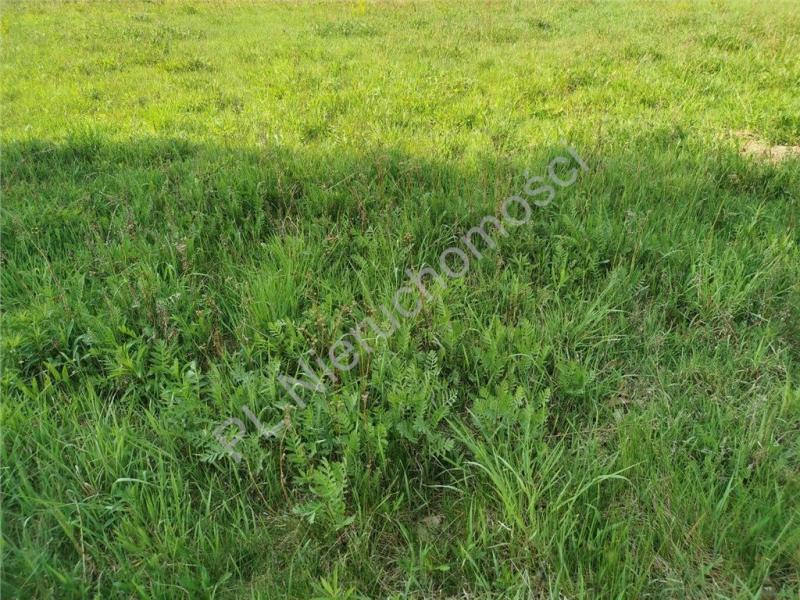 Działka na sprzedaż Odrano-Wola