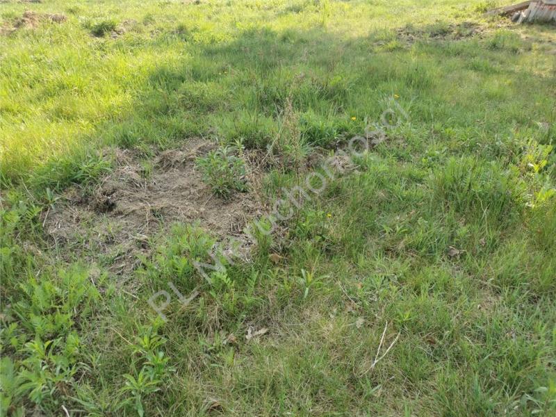 Działka na sprzedaż Odrano-Wola