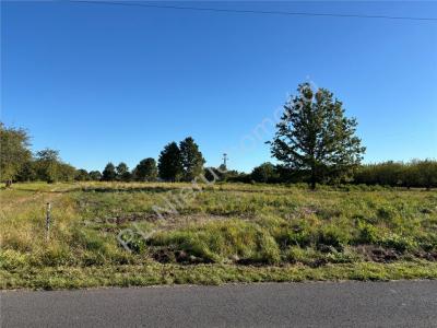 Działka na sprzedaż Żabia Wola