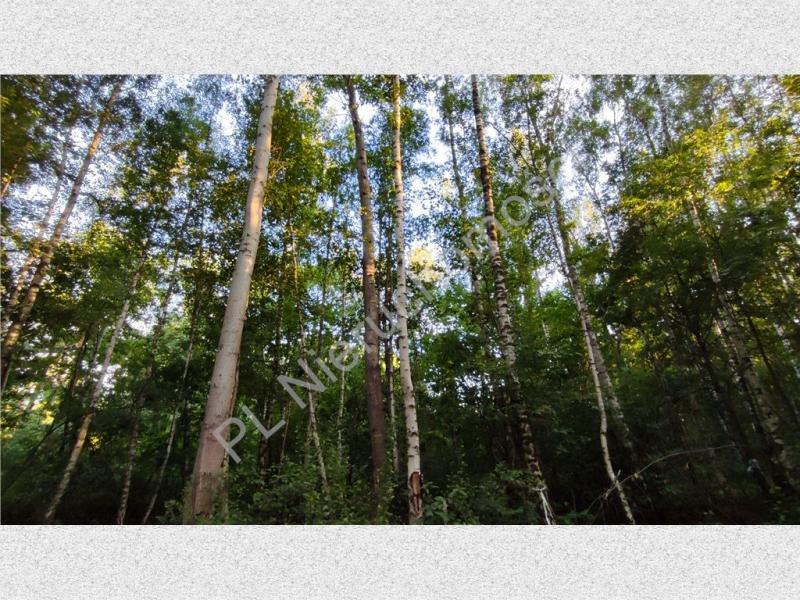 Działka na sprzedaż Janinów