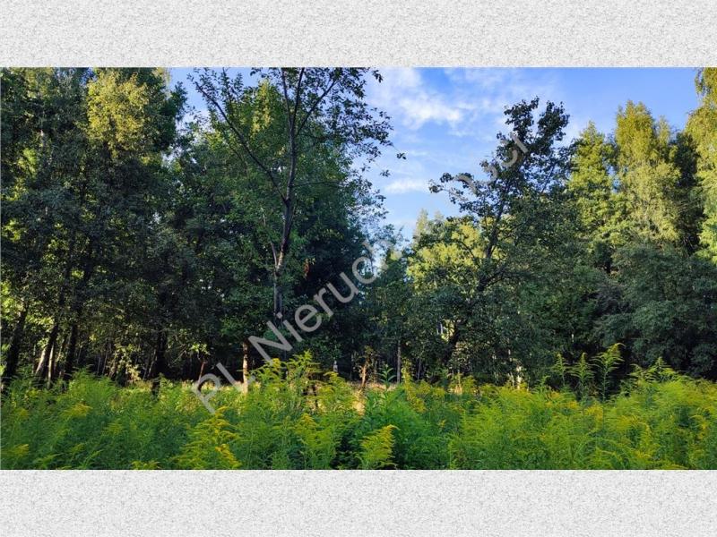 Działka na sprzedaż Janinów