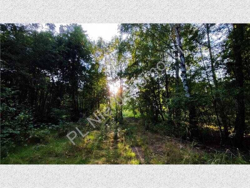 Działka na sprzedaż Janinów