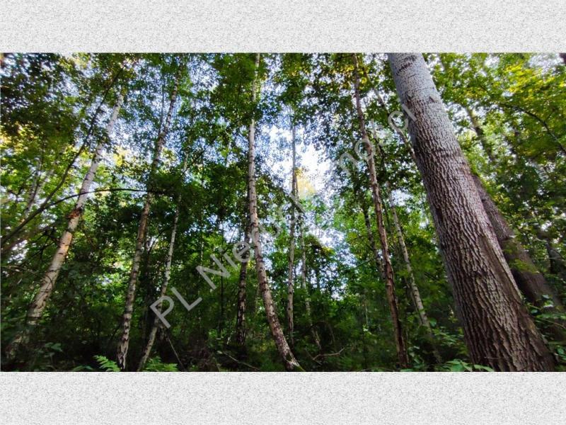 Działka na sprzedaż Janinów