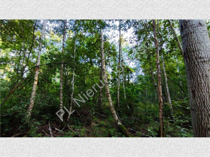 Działka na sprzedaż Janinów