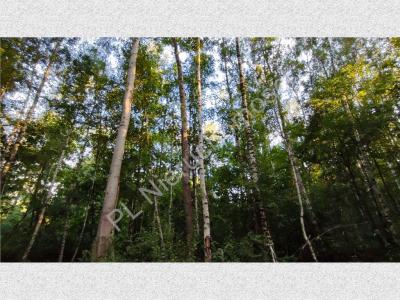 Działka na sprzedaż Janinów