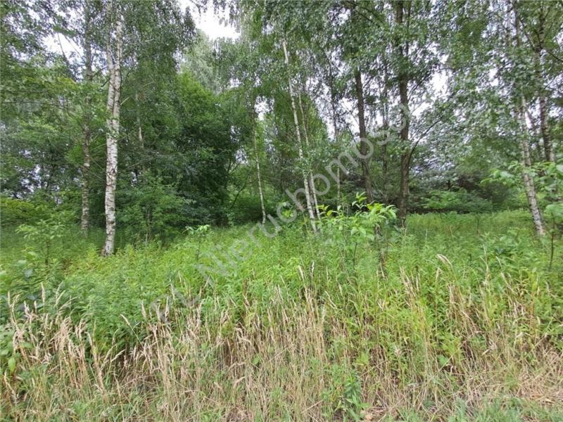 Działka na sprzedaż Jastrzębnik