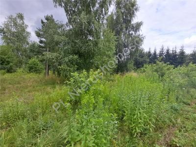 Działka na sprzedaż Jastrzębnik