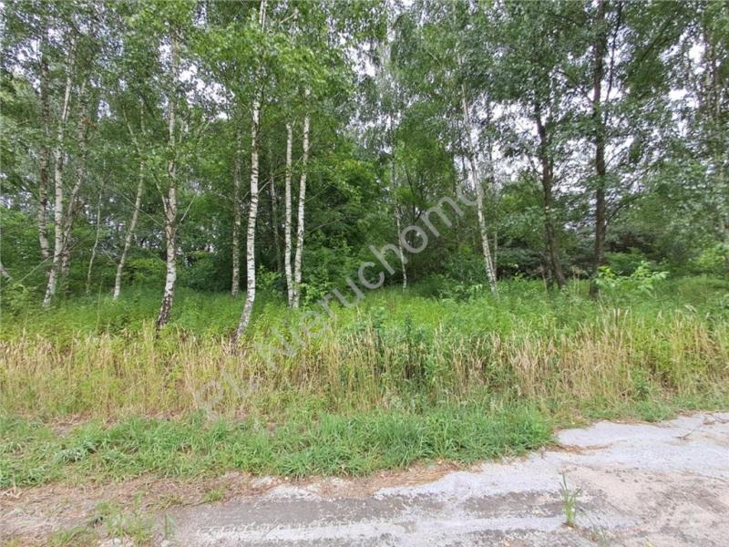 Działka na sprzedaż Jastrzębnik