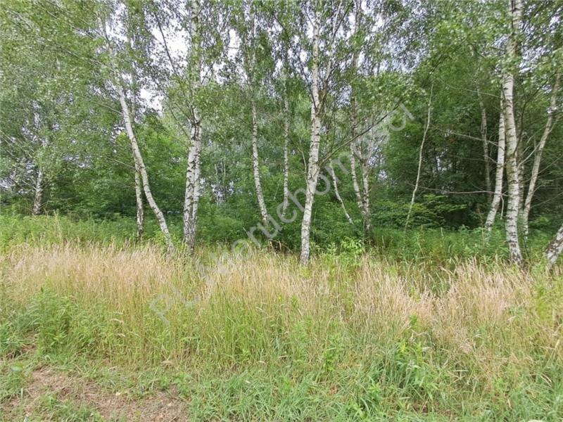 Działka na sprzedaż Jastrzębnik