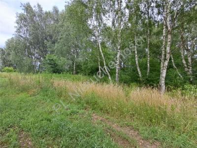 Działka na sprzedaż Jastrzębnik