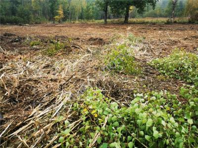 Działka na sprzedaż Janinów