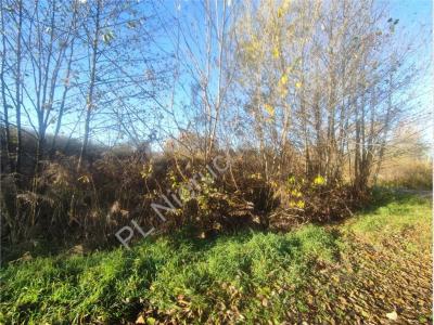Działka na sprzedaż Zboiska