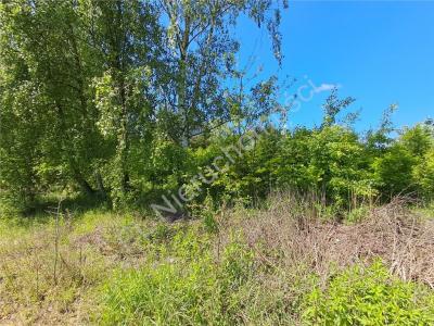 Działka na sprzedaż Radziejowice