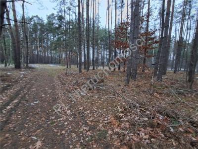 Działka na sprzedaż Marynin