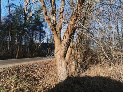 Działka na sprzedaż Budy-Grzybek