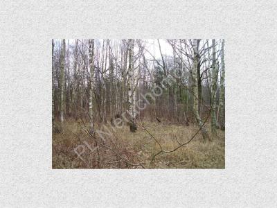 Działka na sprzedaż Janinów