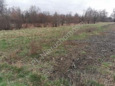 Działka na sprzedaż Budy-Grzybek