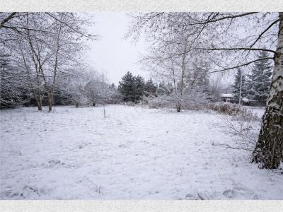 Działka na sprzedaż Natolin
