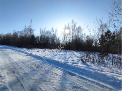 Działka na sprzedaż Budy Michałowskie