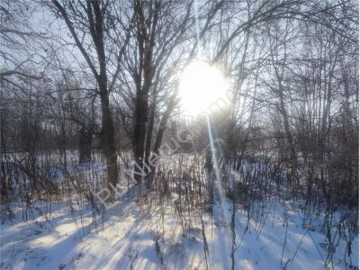 Działka na sprzedaż Milanówek