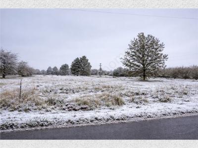 Działka na sprzedaż Żabia Wola