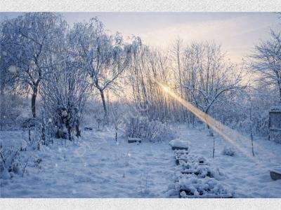 Dom na sprzedaż Budy Michałowskie