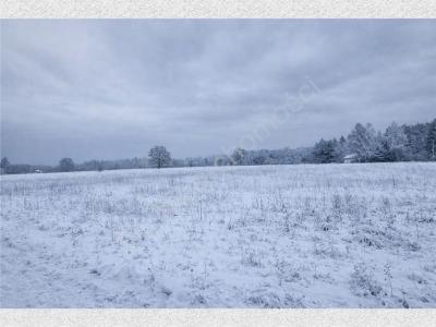 Działka na sprzedaż Wężyk