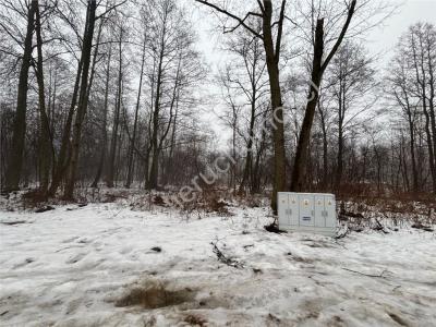 Działka na sprzedaż Czarny Las