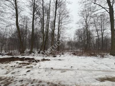 Działka na sprzedaż Czarny Las
