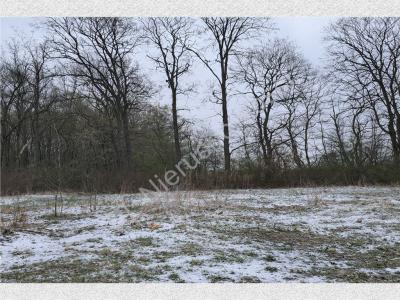 Działka na sprzedaż Kraśnicza Wola