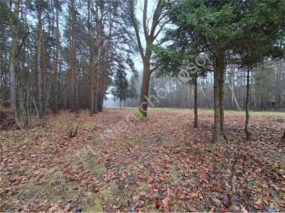 Działka na sprzedaż Stara Wieś