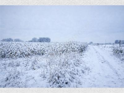 Działka na sprzedaż Chlebnia