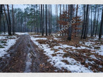 Działka na sprzedaż Marynin