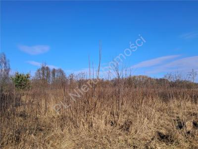 Działka na sprzedaż Stare Budy