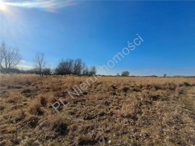 Działka na sprzedaż Chlebnia