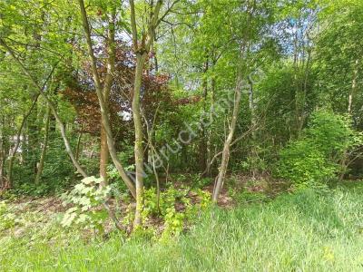 Działka na sprzedaż Sade Budy