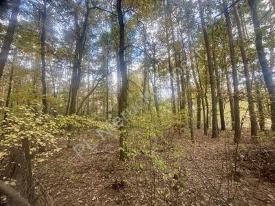 Działka na sprzedaż Osowiec