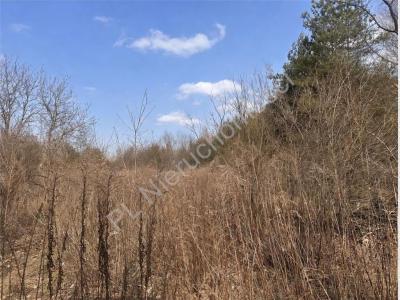 Działka na sprzedaż Książenice