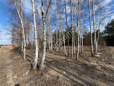 Działka na sprzedaż Jastrzębnik