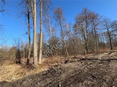 Działka na sprzedaż Czarny Las