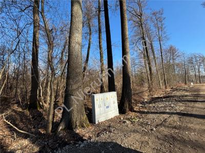 Działka na sprzedaż Czarny Las