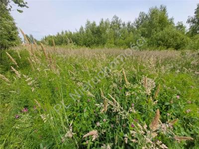 Działka na sprzedaż Budy-Grzybek