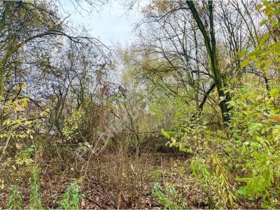 Działka na sprzedaż Milanówek