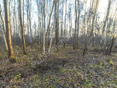 Działka na sprzedaż Stare Budy