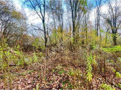 Działka na sprzedaż Milanówek