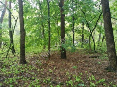 Działka na sprzedaż Książenice